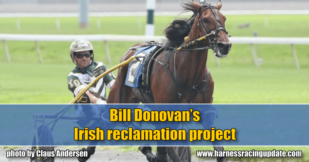 Bill Donovan’s Irish reclamation project