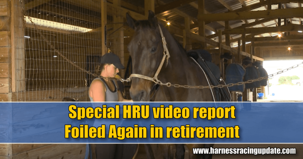 Special HRU video report – Foiled Again in retirement