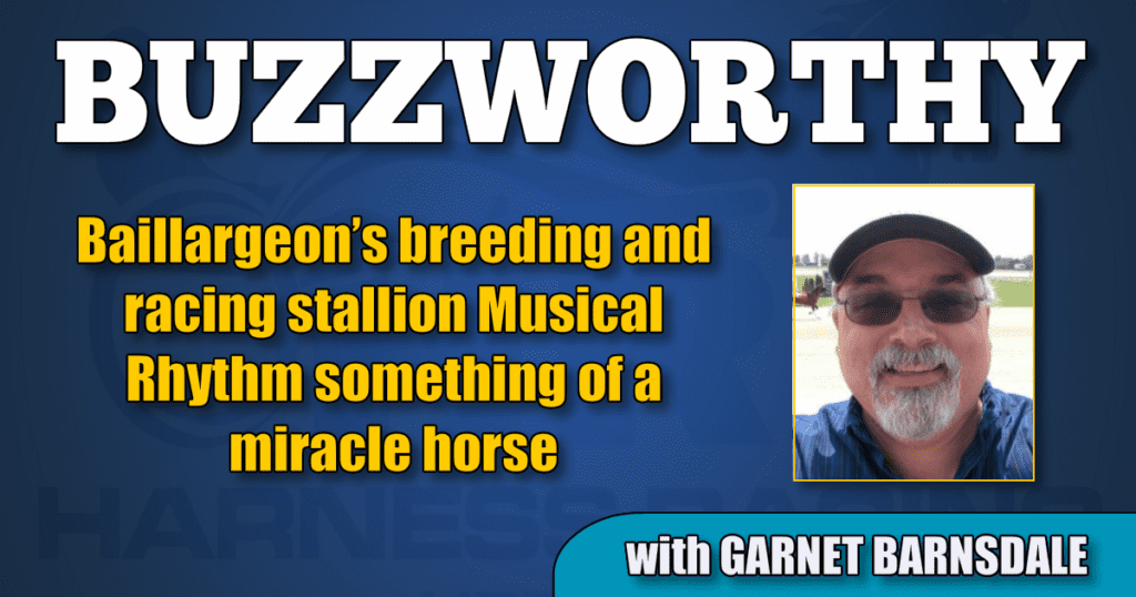Baillargeon’s breeding and racing stallion Musical Rhythm something of a miracle horse