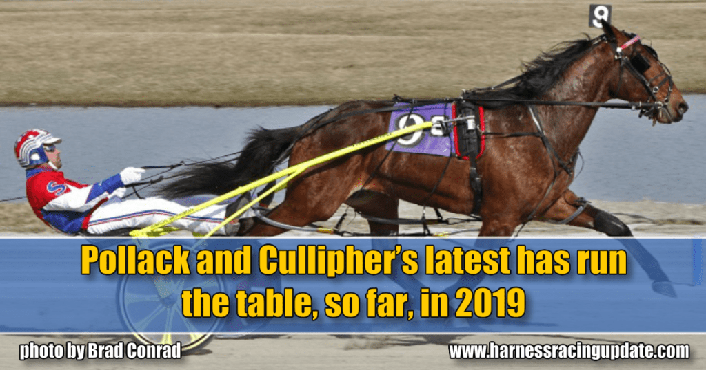 Pollack and Cullipher’s latest has run the table, so far, in 2019