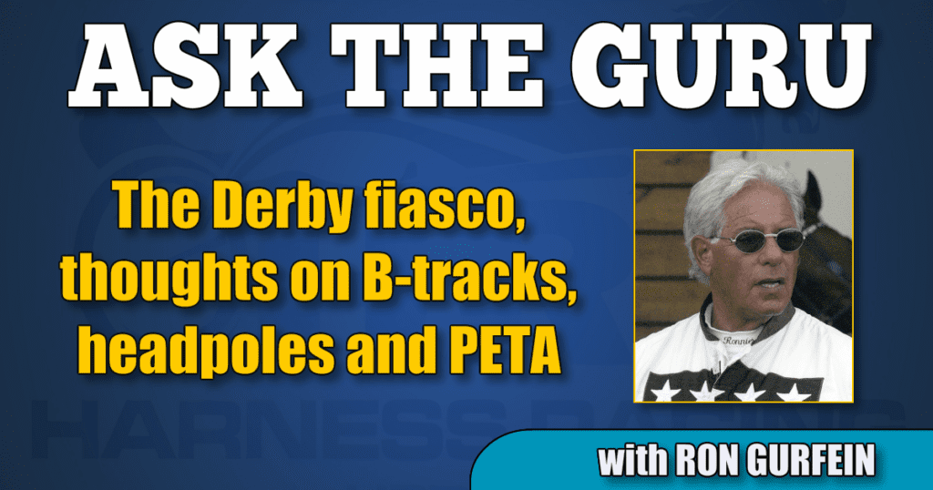 The Derby fiasco, thoughts on B-tracks, headpoles and PETA