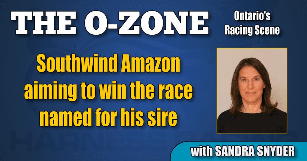 Southwind Amazon aiming to win the race named for his sire