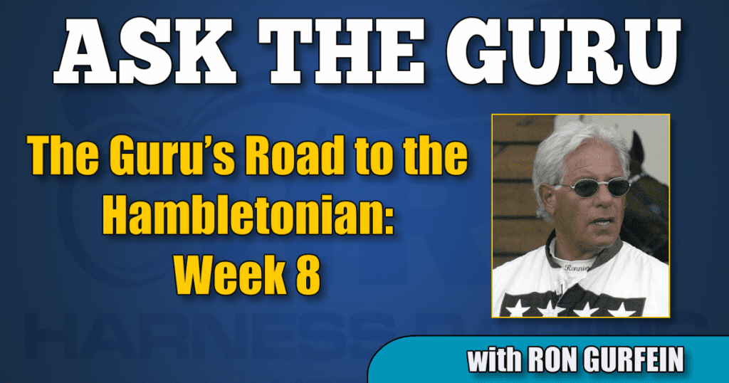 The Guru’s Road to the Hambletonian – Week 8