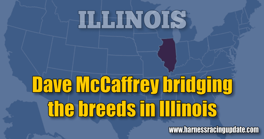 Dave McCaffrey bridging the breeds in Illinois