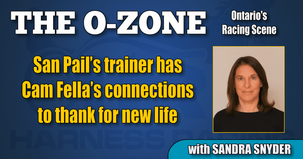 San Pail’s trainer has Cam Fella’s connections to thank for new life