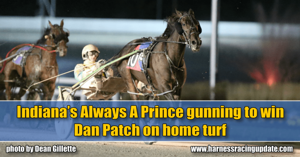 Indiana’s Always A Prince gunning to win Dan Patch on home turf
