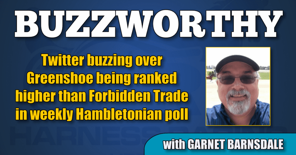 Twitter buzzing over Greenshoe being ranked higher than Forbidden Trade in weekly Hambletonian poll