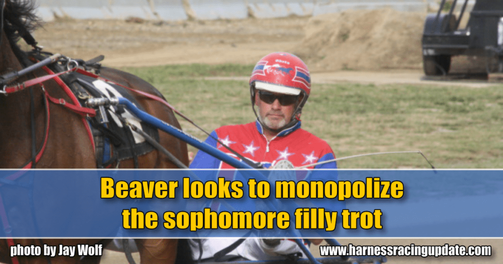 Beaver looks to monopolize the sophomore filly trot