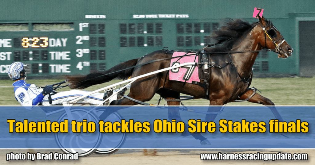 Talented trio tackles Ohio Sire Stakes finals