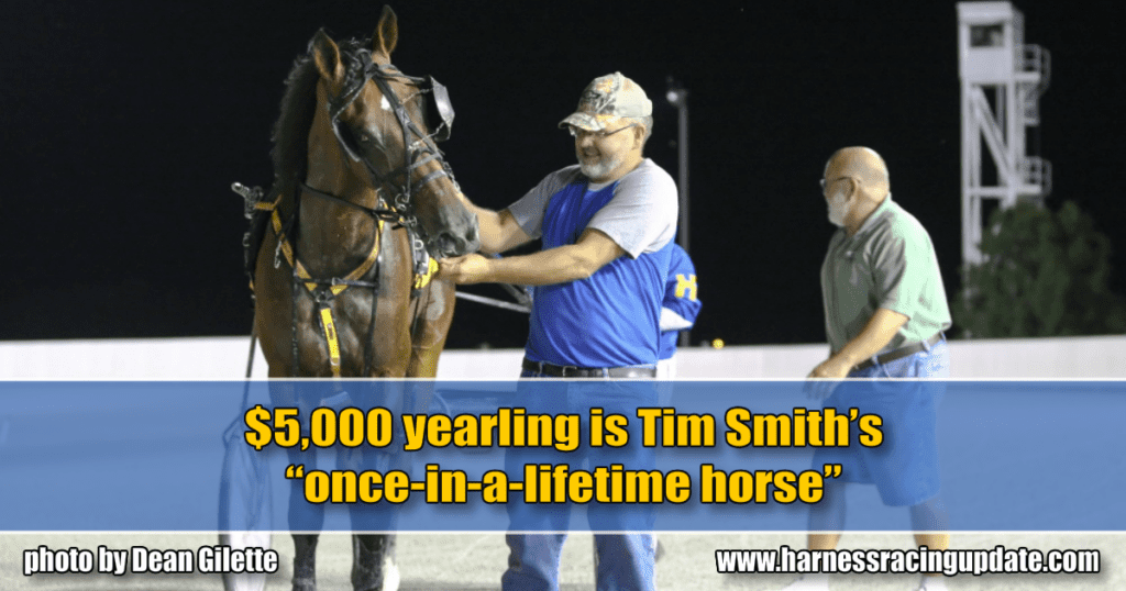 $5,000 yearling is Tim Smith’s “once-in-a-lifetime horse”