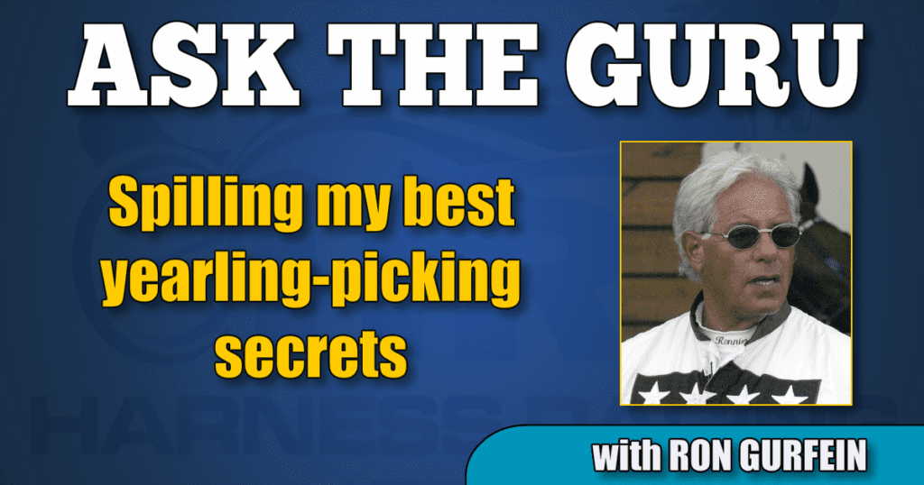 Spilling my best yearling-picking secrets