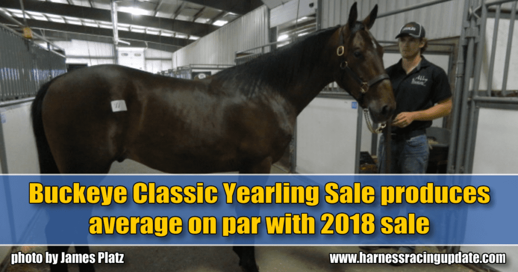 Buckeye Classic Yearling Sale produces average on par with 2018 sale