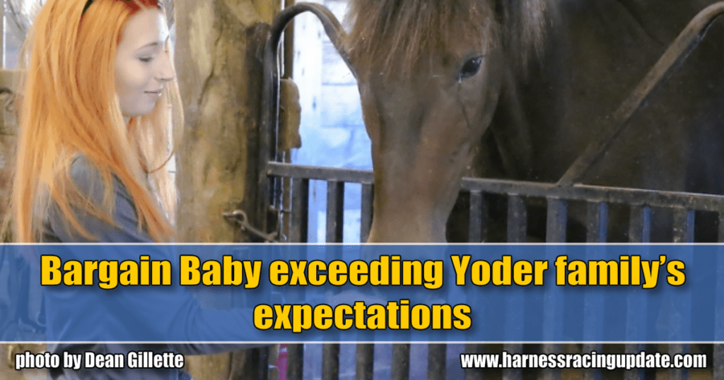 Bargain Baby exceeding Yoder family’s expectations