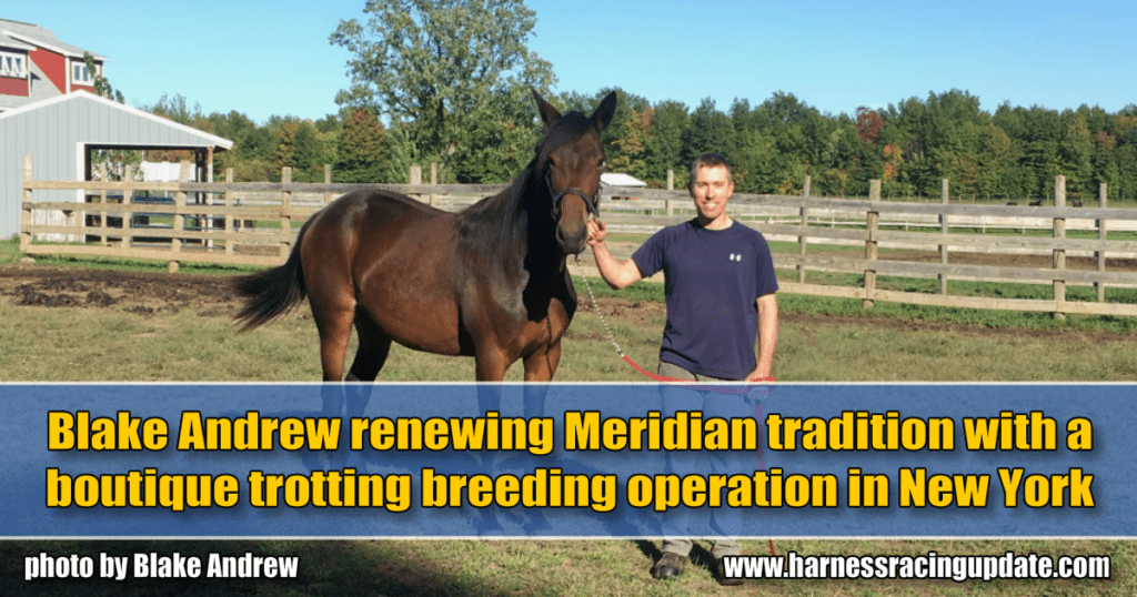Blake Andrew renewing Meridian tradition with a boutique trotting breeding operation in New York