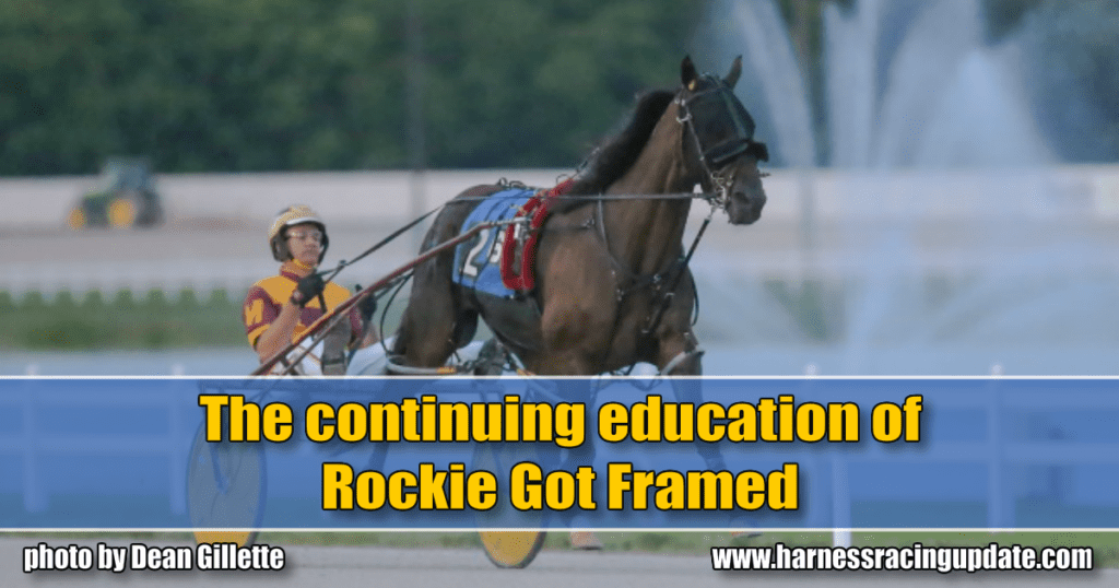 The continuing education of Rockie Got Framed