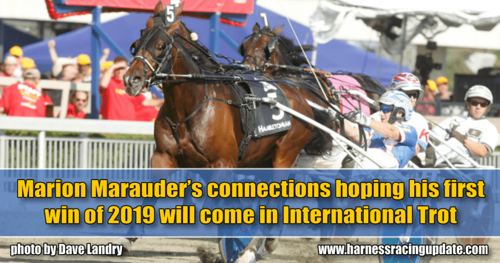 Marion Marauder’s connections hoping his first win of 2019 will come in International Trot