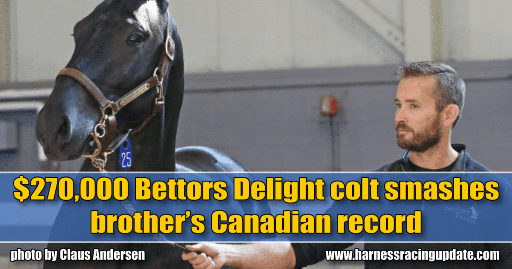 $270,000 Bettors Delight colt smashes brother’s Canadian record