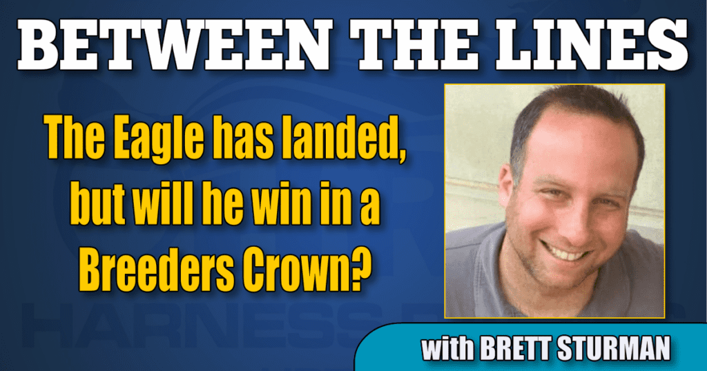 The Eagle has landed, but will he win in a Breeders Crown?