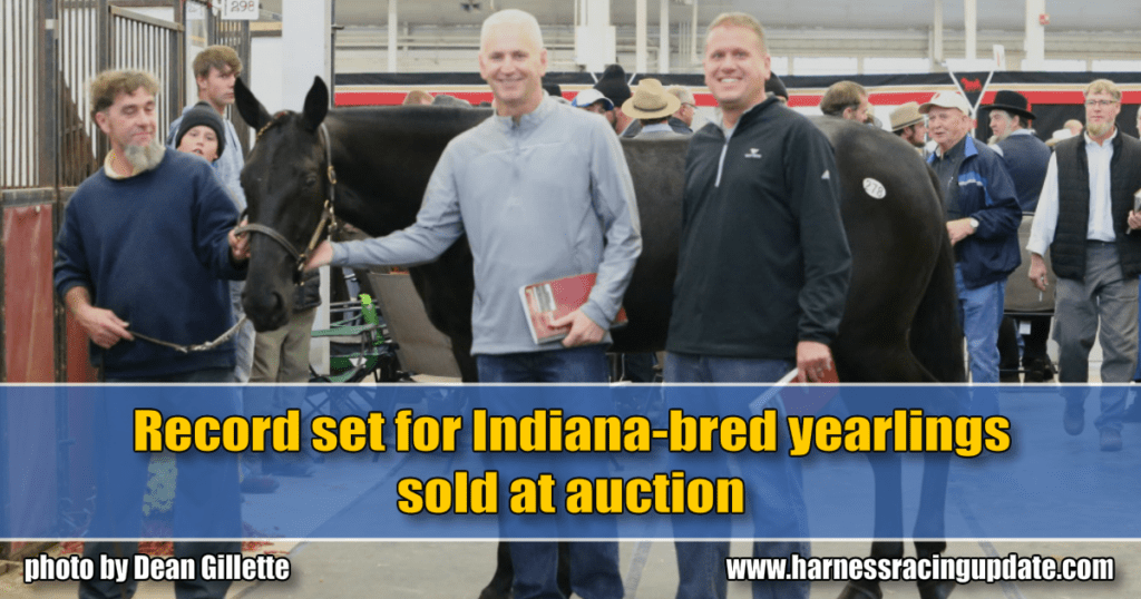 Record set for Indiana-bred yearlings sold at auction