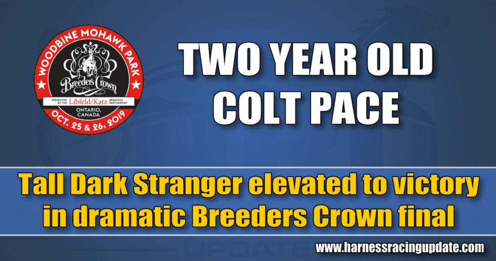 Tall Dark Stranger elevated to victory in dramatic Breeders Crown final