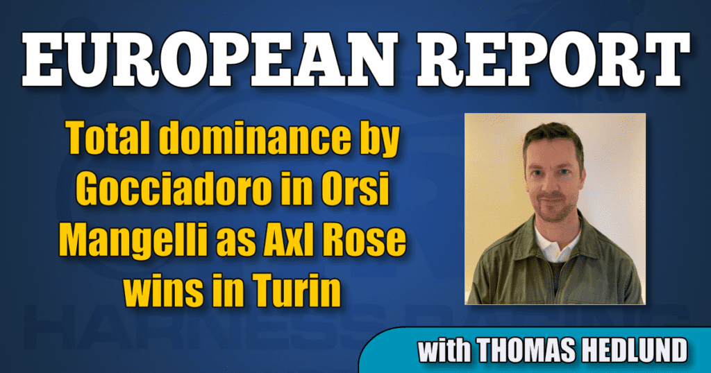 Total dominance by Gocciadoro in Orsi Mangelli as Axl Rose wins in Turin