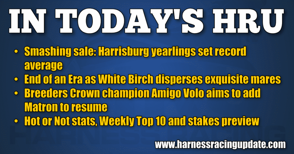 Smashing sale: Harrisburg yearlings set record average