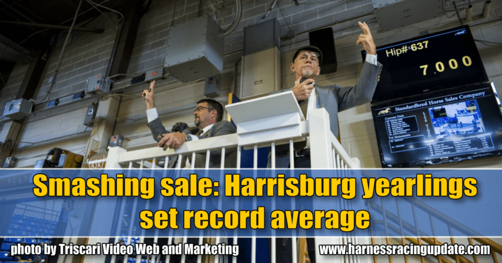 Smashing sale: Harrisburg yearlings set record average