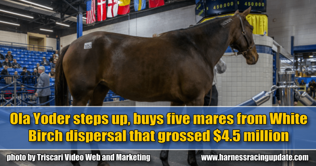 Ola Yoder steps up, buys five mares from White Birch dispersal that grossed $4.5 million