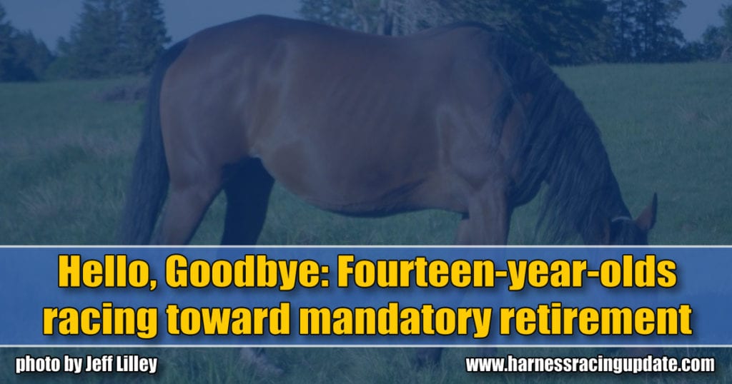 Hello, Goodbye: Fourteen-year-olds racing toward mandatory retirement