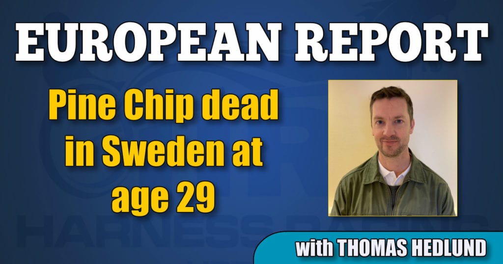Pine Chip dead in Sweden at age 29