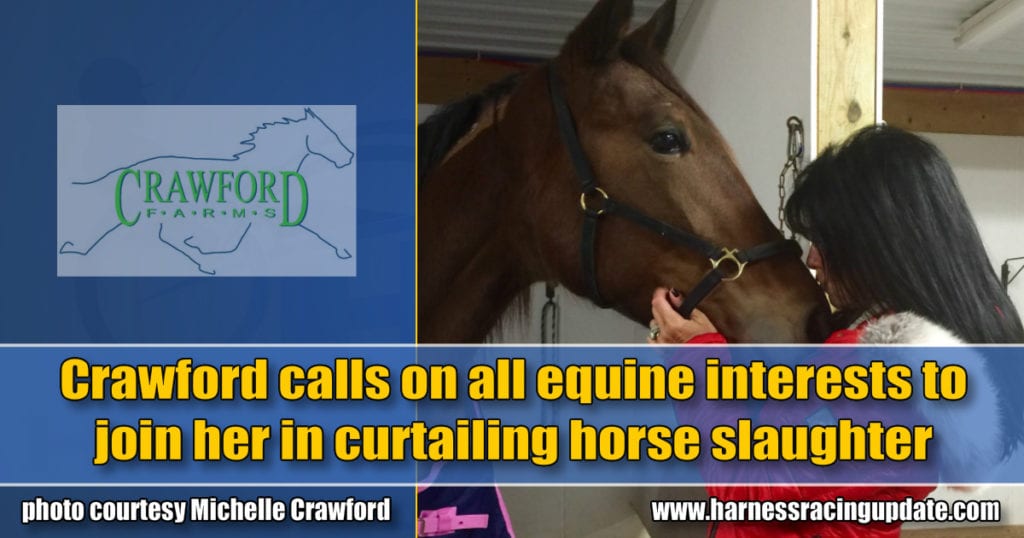 Crawford calls on all equine interests to join her in curtailing horse slaughter