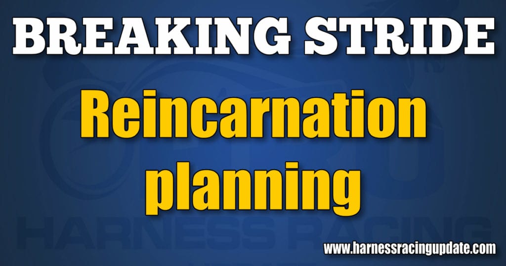 Reincarnation planning