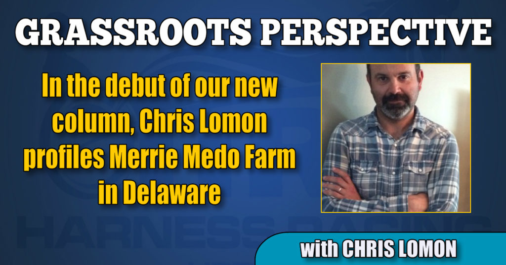 In the debut of our new column, Chris Lomon profiles Merrie Medo Farm in Delaware