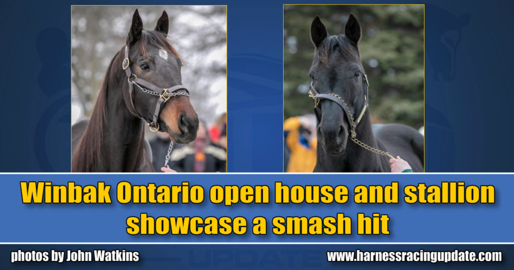 Winbak Ontario open house and stallion showcase a smash hit