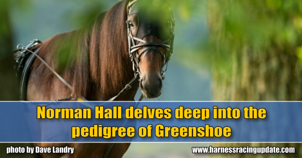 Norman Hall delves deep into the pedigree of Greenshoe