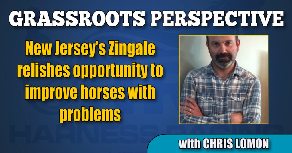 New Jersey’s Zingale relishes opportunity to improve horses with problems