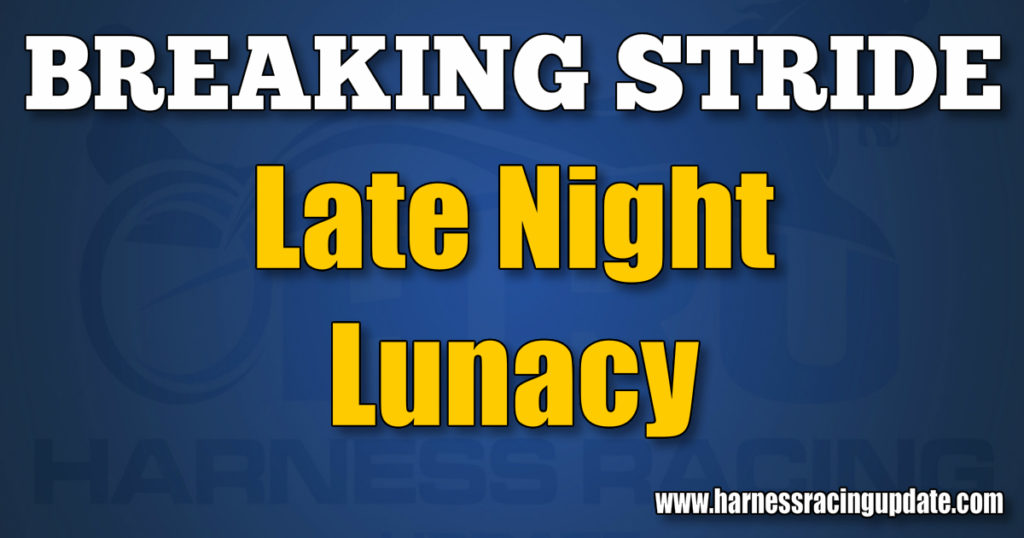 Late Night Lunacy