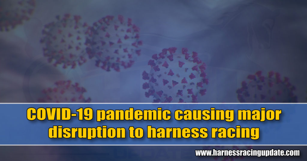 COVID-19 pandemic causing major disruption to harness racing