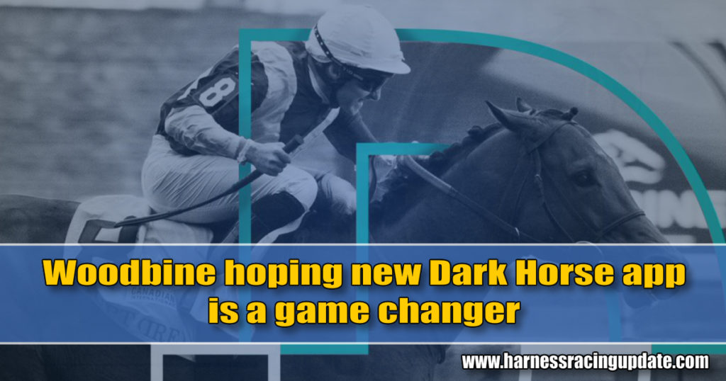 Woodbine hoping new Dark Horse app is a game changer