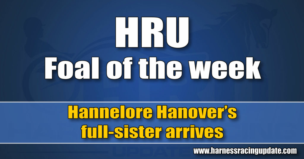 Hannelore Hanover’s full-sister arrives