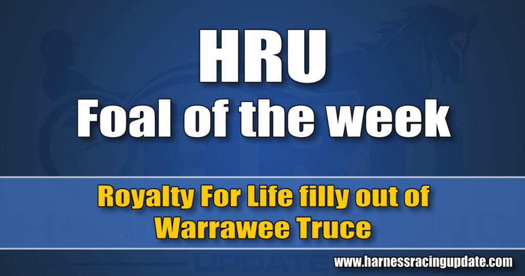 Royalty For Life filly out of Warrawee Truce