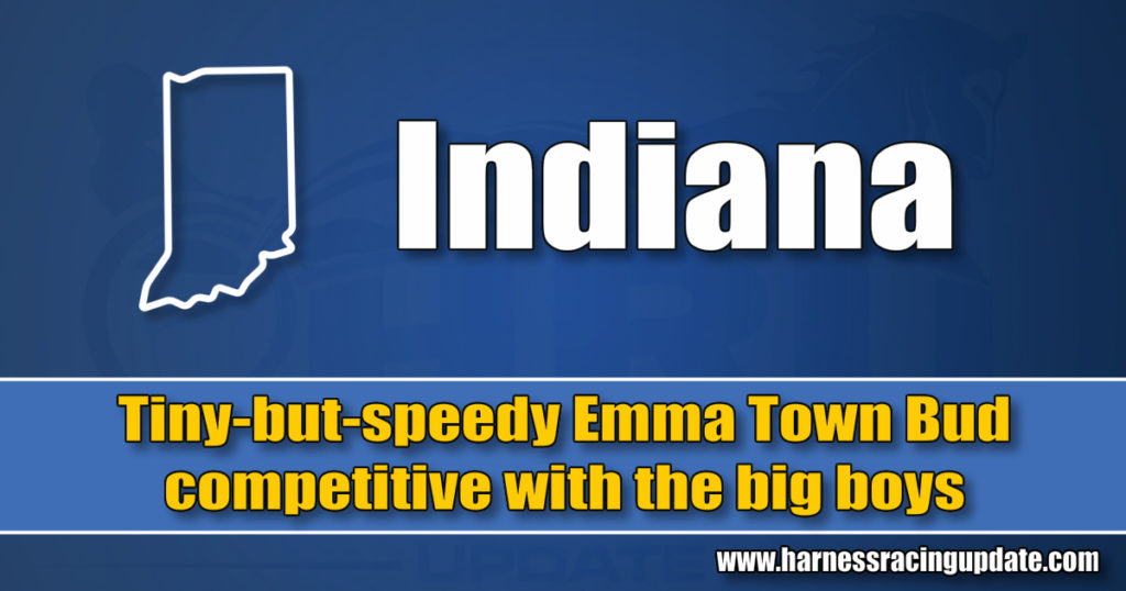 Tiny-but-speedy Emma Town Bud competitive with the big boys