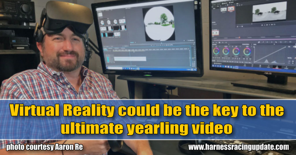Virtual Reality could be the key to the ultimate yearling video