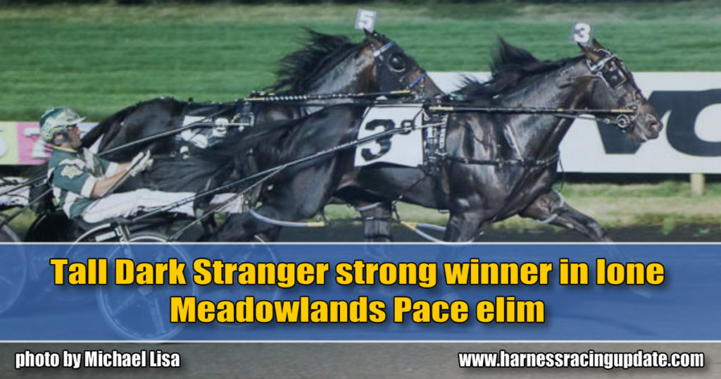 Tall Dark Stranger strong winner in lone Meadowlands Pace elim