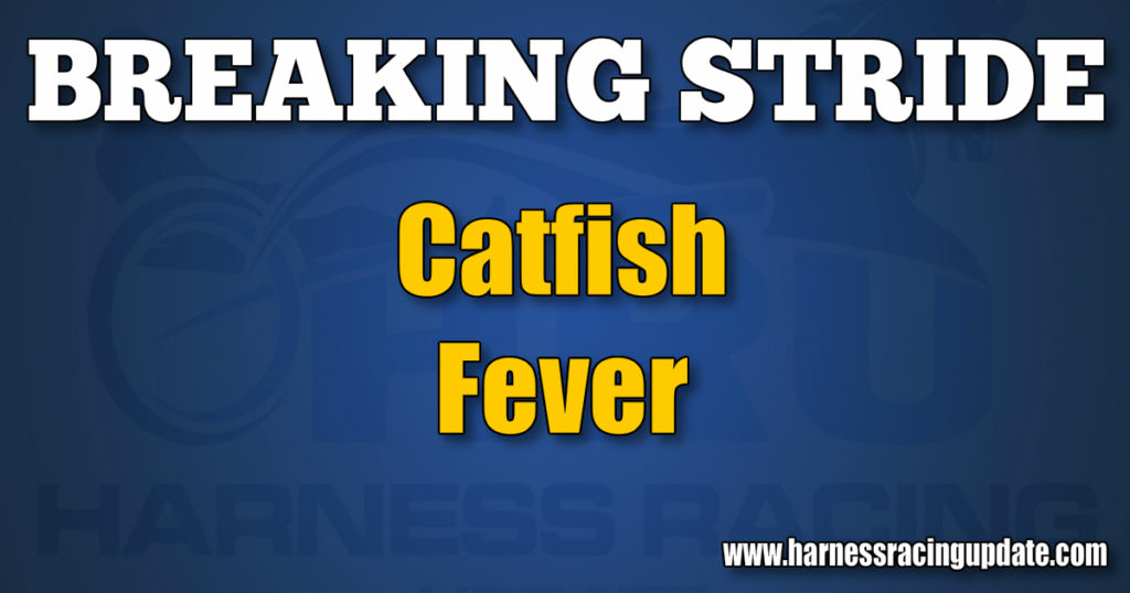 Catfish Fever