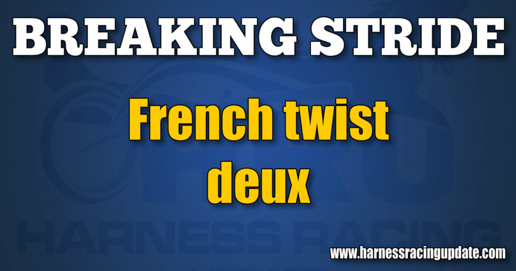 French twist deux