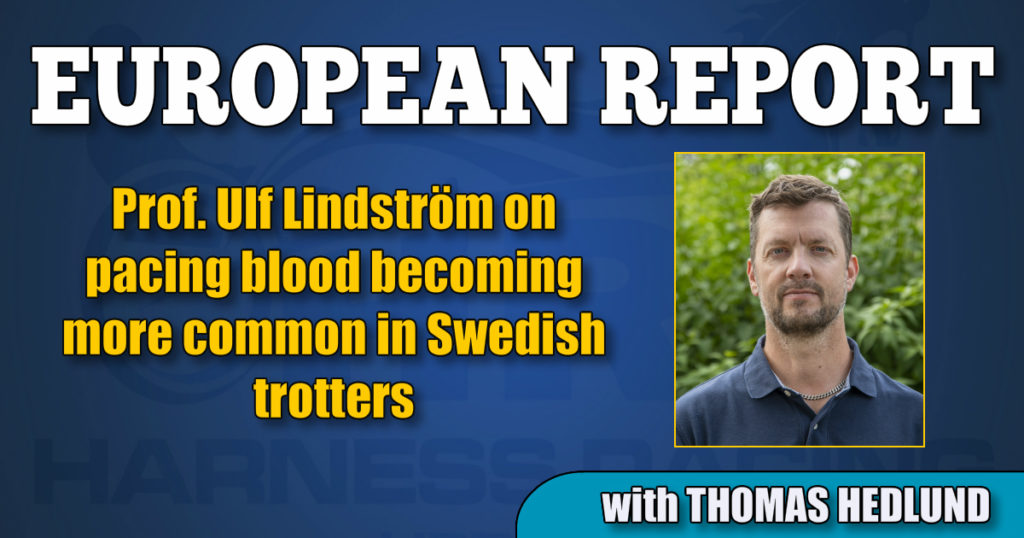 Prof. Ulf Lindström on pacing blood becoming more common in Swedish trotters