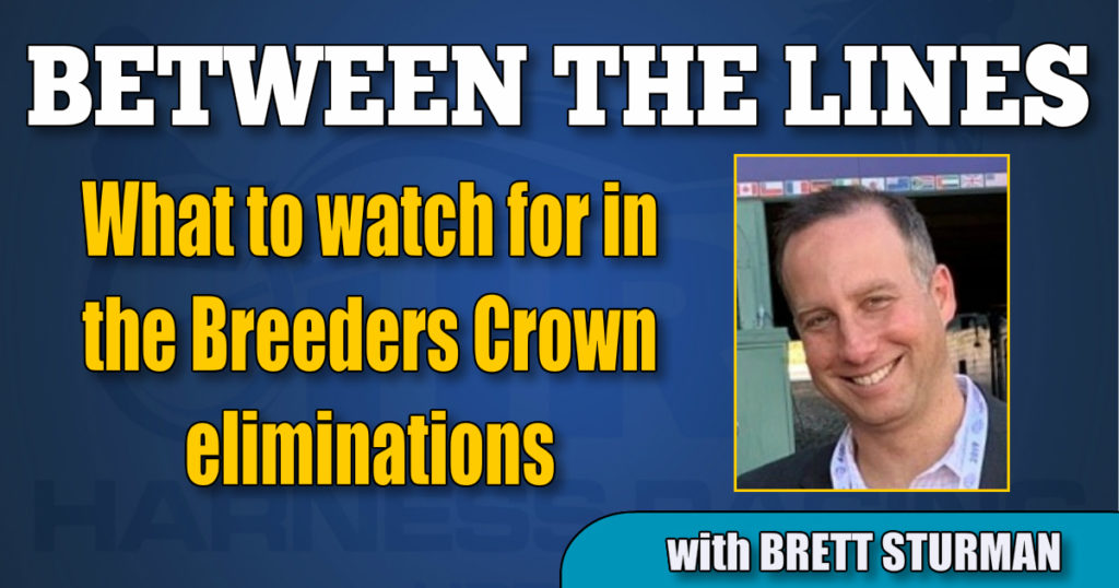 What to watch for in the Breeders Crown eliminations