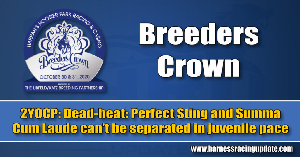 Dead-heat: Perfect Sting and Summa Cum Laude can’t be separated in juvenile pace