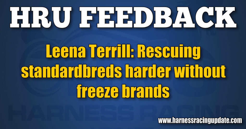 Leena Terrill: Rescuing standardbreds harder without freeze brands